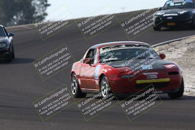 media/Feb-22-2025-SCCA SD (Sat) [[57201885c5]]/Group Two/Group 2B/